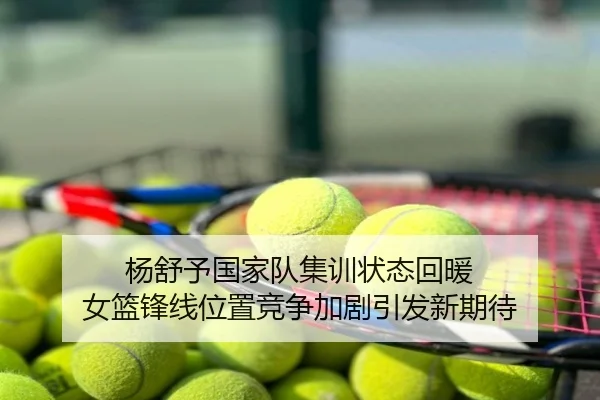 杨舒予国家队集训状态回暖 女篮锋线位置竞争加剧引发新期待