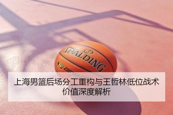 上海男篮后场分工重构与王哲林低位战术价值深度解析